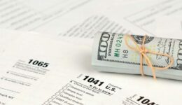 your tax return is still being processed