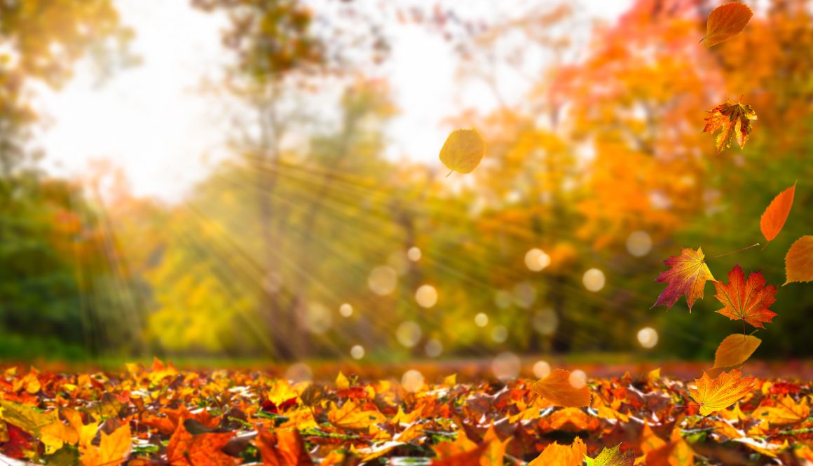 Preparing for Tax Season: Fall Tax Planning Tips